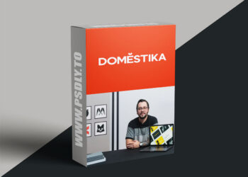 Domestika - Logo Design: Create Powerful Symbols