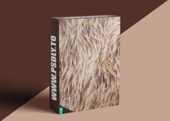 Gumroad - Levelup Digital - Creating a Smart Fur Material | QiYu Dai