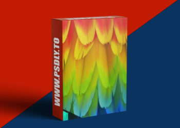 Gumroad - Levelup Digital - Feather Creation | Romain Lemaire