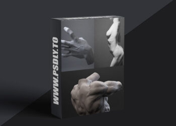 Mold 3D Academy - Artistic Anatomy - Daniel Crossland