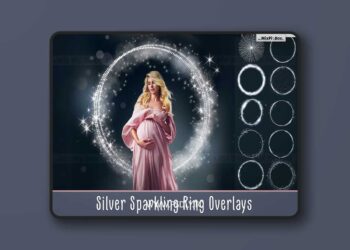 Silver Sparkling Ring Overlays