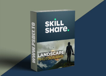 The Art of Landscape Photography for Beginners