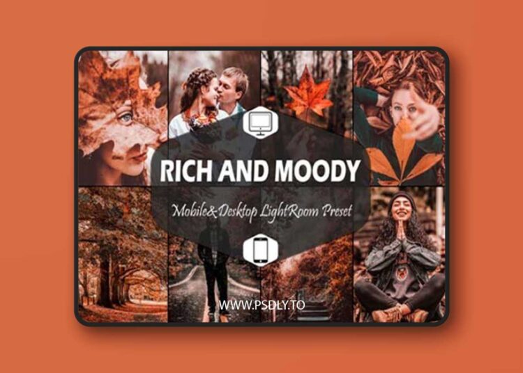 10 Rich and Moody Lightroom Presets 5916286 1 10 Rich and Moody Lightroom Presets 5916286