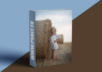 Daniel Venter Photography - Afternoon Gold