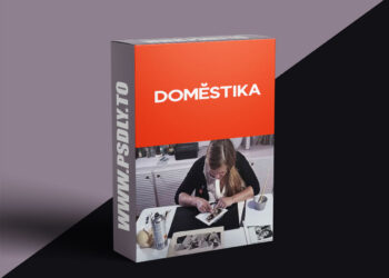 Domestika - Geometric Collage without Anaesthesia