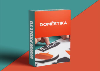 Domestika - Illustration for Beginners: Find Your Own Method