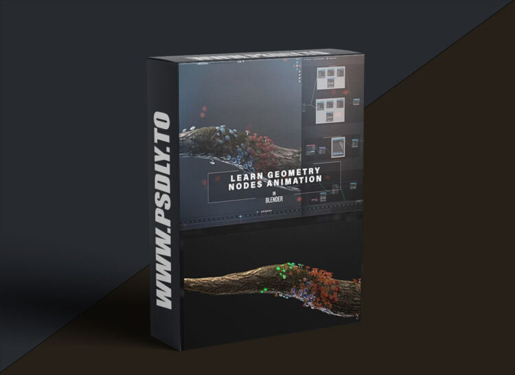 Eldamar Studio - Learn Geometry Nodes Animation in Blender 1 Eldamar Studio - Learn Geometry Nodes Animation in Blender