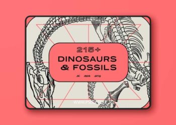 NomadVisuals - Dinosaurs & Fossils