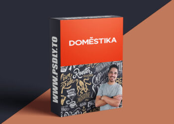 Domestika - Large Format Lettering