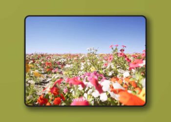 Nanite Flower Pack (5.1+)