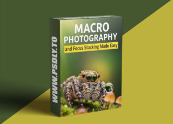 Nic Van Oudtshoorn - Macro Photography and Focus Stacking Made Easy