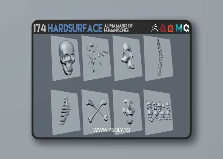 174 Hardsurface alpha masks of human bones 1 174 Hardsurface alpha masks of human bones