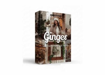 3dMotional 30 Ginger Lightroom and Lut Bundle