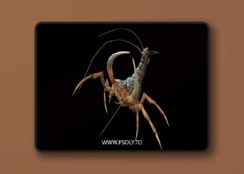 LandBug4 (4.18 – 4.27 and 5.0 – 5.6)