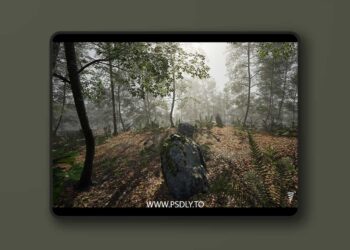 MAE Beech Forest (4.26 – 4.27 and 5.0 – 5.7)