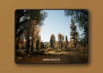 Realistic Autumn Forest Location 2x2 (4.27, 5.0 - 5.7)