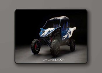 Buggy v1.2 (4.25 – 4.27 and 5.0 – 5.4)