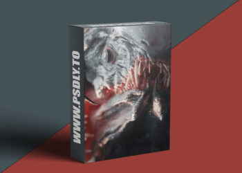 Creative Shrimp - Eevee Realistic Lighting and Rendering