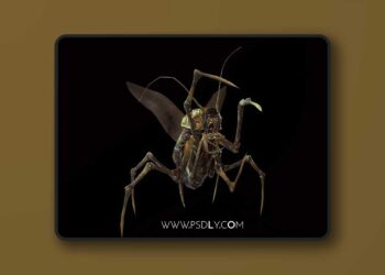 Land Bug 1 (4.18 – 4.27 and 5.0 – 5.6)