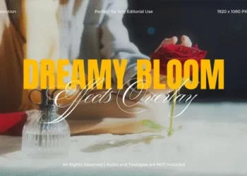 Videohive Dreamy Bloom Effects for After Effects 61125347