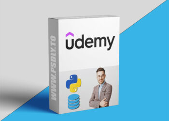 Python for Data Engineers: Pipelines, APIs, Databases A to Z