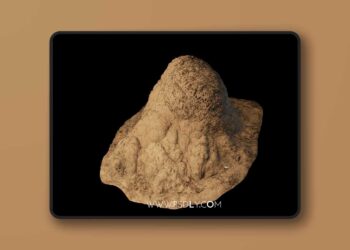 Termite Mounds - Vol 1 (4.19-4.27, 5.0-5.4)