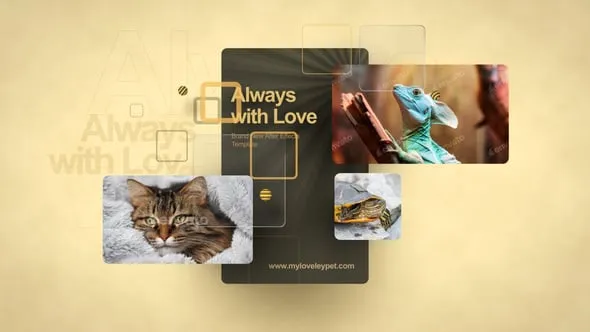 Videohive - Beloved Pets - 60283444 1 Videohive Beloved Pets 60283444