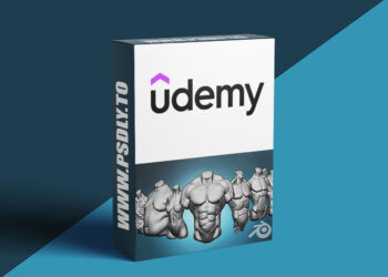 Torso anatomy exercises course