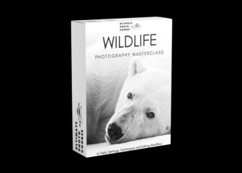 Ultimate Photo Course - The Ultimate Wildlife Photography Bundle