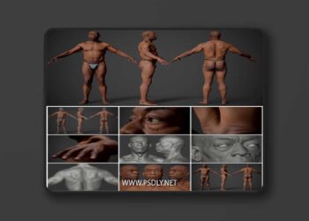 Animation Ready Body Scan Male 01