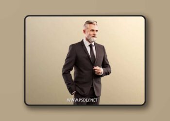 Business man beard gray best ager boss