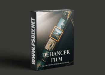 Dehancer Film 2.8.0