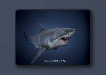 Great White Shark (5.0 – 5.7)