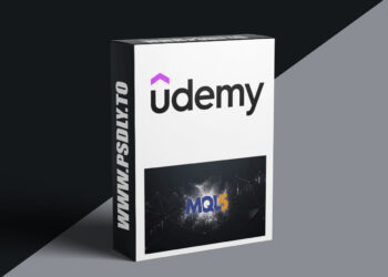 MQL5 MACHINE LEARNING: Develop strategies with Naive Bayes