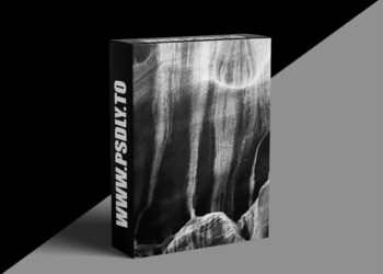 Nature Photographers Network - The Art of Seabird Photography