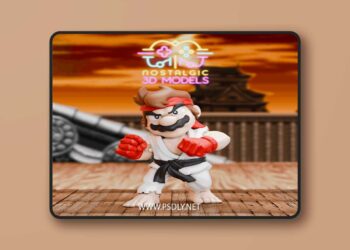 Nostalgic – Mario x Ryu – 3D Print Model