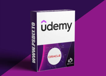 Oracle Database Administrator DBA