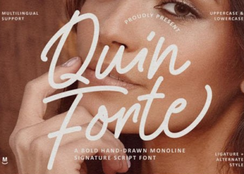 Quin Forte Hand drawn Monoline Signature Script Font 1