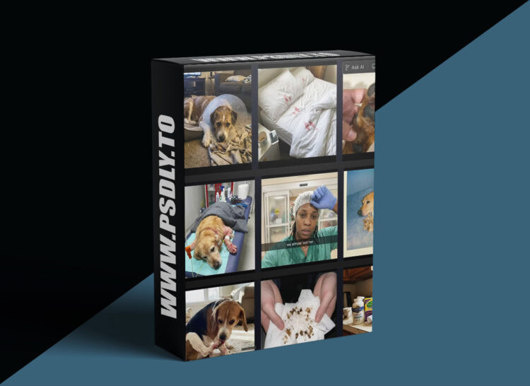 Satish Prajapati – Native Ads 1 Satish Prajapati – Native Ads